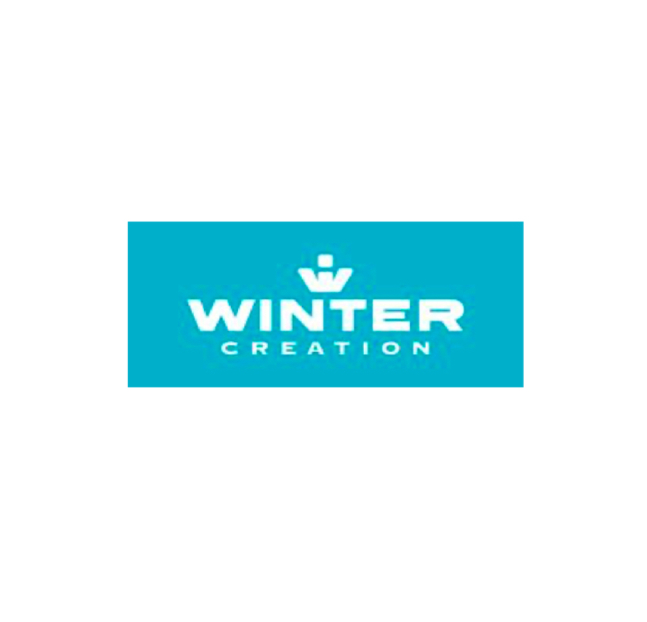 Logo Winter Creation